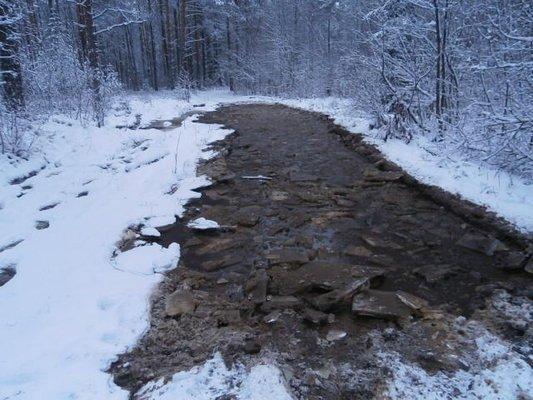 PC060428.thumb.JPG.7d120bf7663e39d5351fa