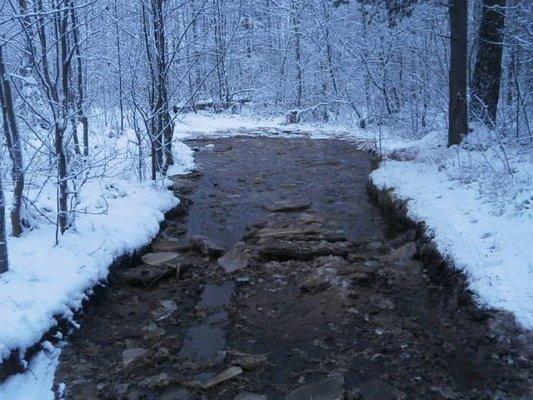 PC060430.thumb.JPG.c50ba80e38826f6cb85b3