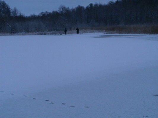 PC060435.thumb.JPG.9fa5dc0a75f86219d61bd