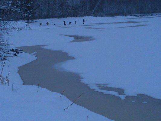 PC070436.thumb.JPG.8b616452de4f450f04426