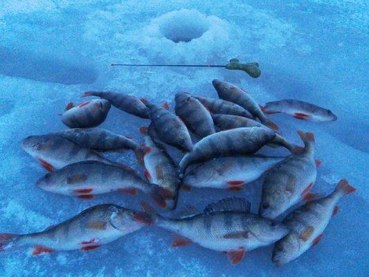 PC130456.thumb.JPG.107d90def8d5947668252