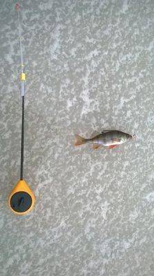 WP_20151219_001.thumb.jpg.f8b0bfd79c468f