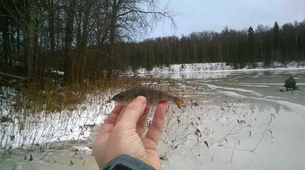 WP_20151219_006.thumb.jpg.044b92474f3b2d