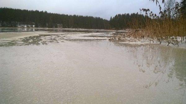 WP_20151219_014.thumb.jpg.deda4c870901b5