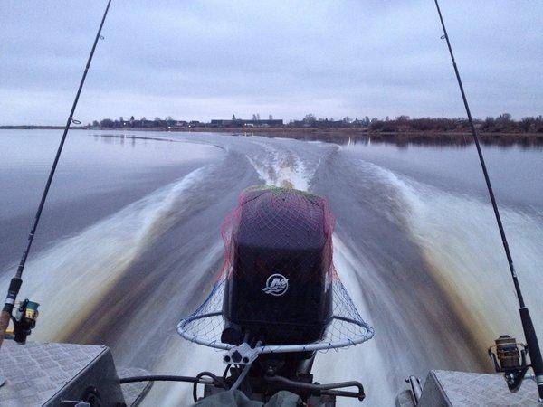 image.thumb.jpg.312d69942edbd405001d3004