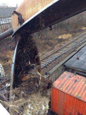 qLDqjtUa2eI.thumb.jpg.ef728aa73e5b591ee7