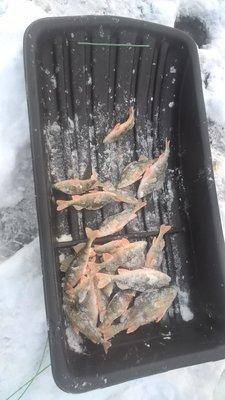 07.thumb.jpg.bd3dcc8d70d2f7615eb8e4423d5