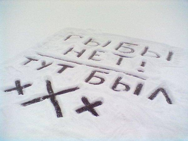 070120161078.thumb.jpg.012a46710104cffb4