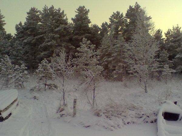 070120161087.thumb.jpg.e70f2bc731e2bb6f9