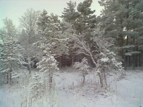 070120161088.thumb.jpg.0b7007033f8997b43