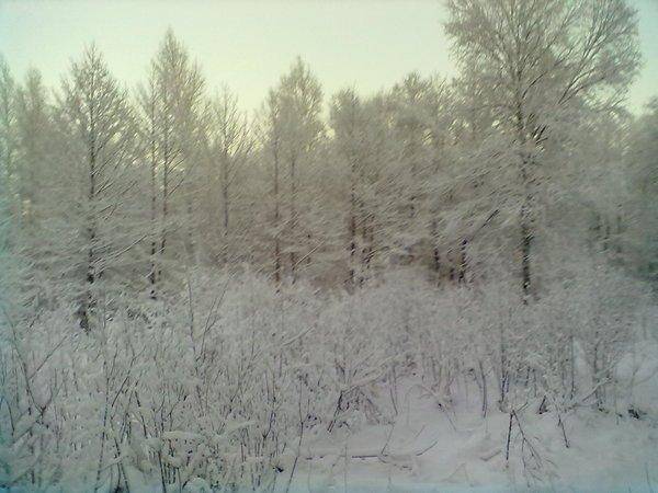 070120161089.thumb.jpg.5f46dc2945c83d63f