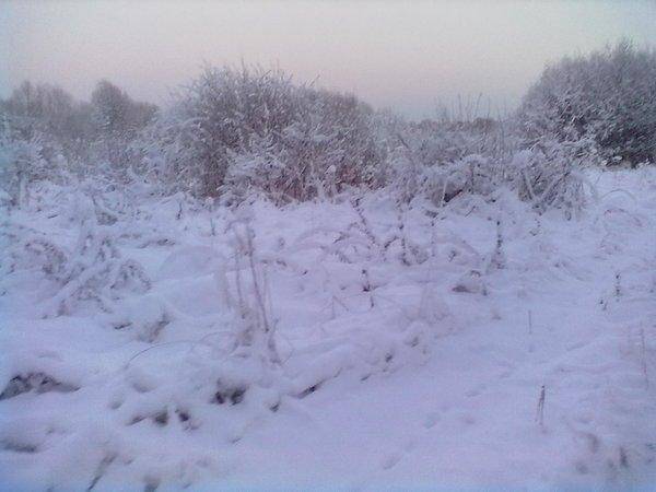 070120161097.thumb.jpg.16107f9a5a6a68802