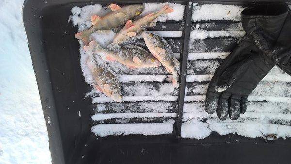 09.thumb.jpg.217691d8ca9ebfcb9e4991b3e06