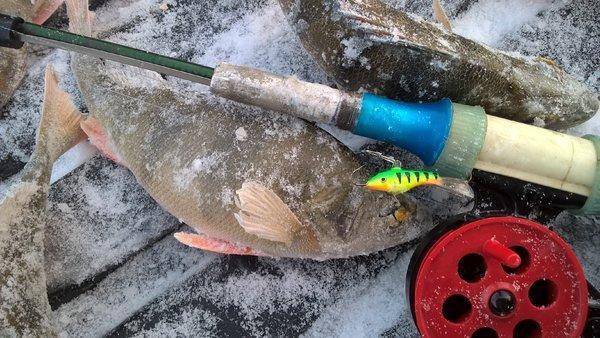 12.thumb.jpg.653b27d2a7231411d7667b5e33a