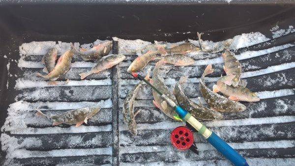 13.thumb.jpg.2df6436469e1384facbdd2513a0