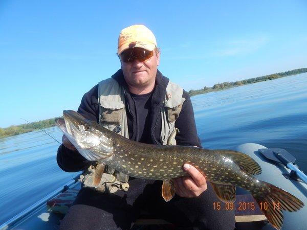 14.thumb.JPG.5f385c8a8044de8236631c1e528