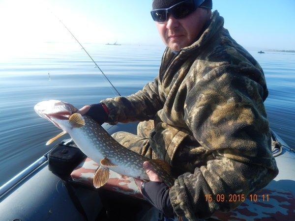 15.thumb.JPG.ddaae03fe1276ef0430ec38c3ca