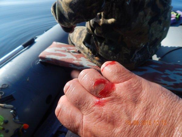 16.thumb.JPG.7d434d2d13f4dac13caea23caa6