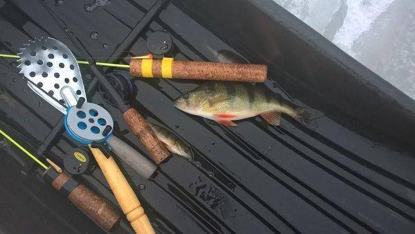 2.thumb.jpg.8516a2431c31eb65ea545943ad66