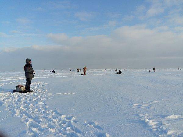 20160117_124000.thumb.jpg.fb654a58a41032