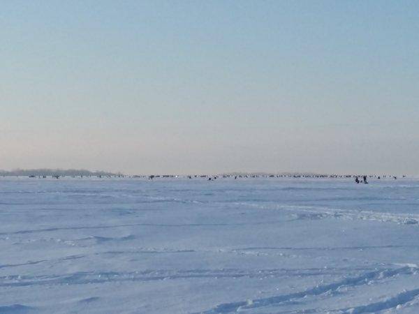 20160117_124015.thumb.jpg.38ea8b779c3862