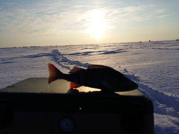 20160117_143447.thumb.jpg.2142198811ad35