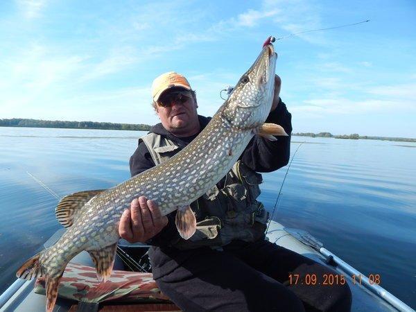 27.thumb.JPG.22378473057f3cb2596f2ca99ab