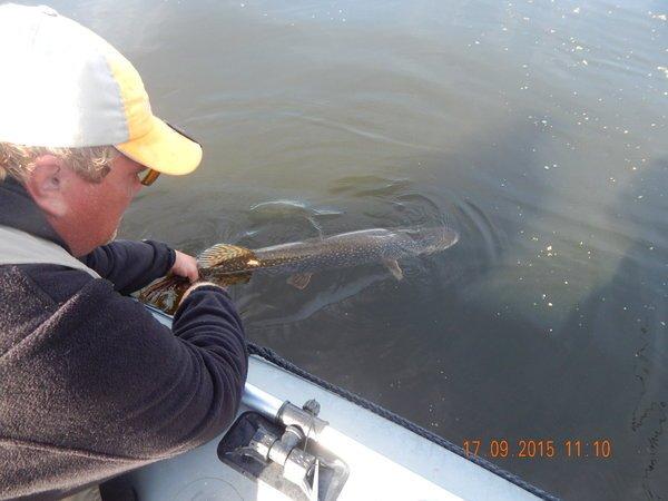 29.thumb.JPG.ddcac79bbd5607642cc54a7e8ed