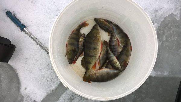 3.thumb.jpg.8a168c09e57503142e17480c2542