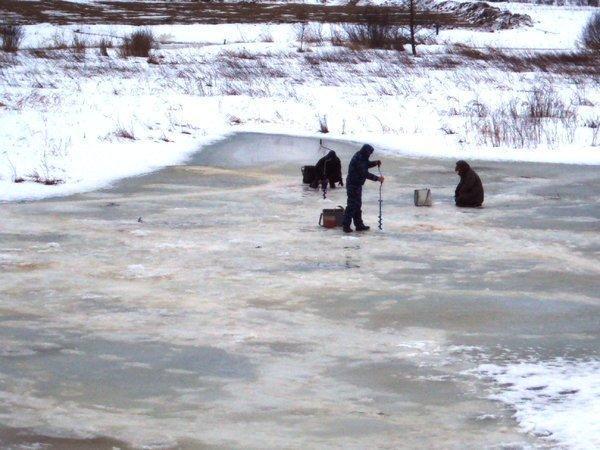 31.01.2016_3.thumb.JPG.c3827a397b2046975