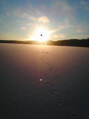 56868f6c836cc_12016001.thumb.jpg.a5471b3