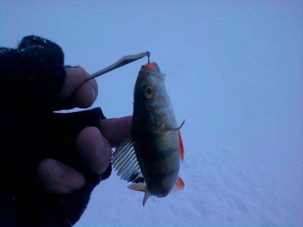 568a66a07e577_0955.thumb.jpg.738276e1214