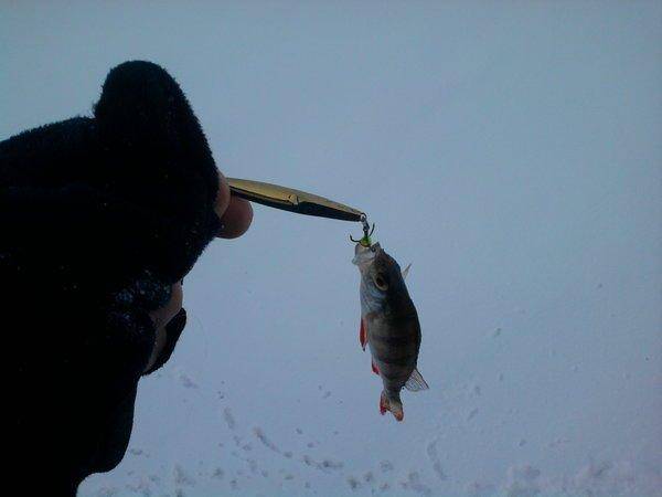 568a682f0e973_0959.thumb.jpg.086be54afcd