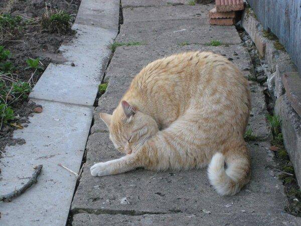 Изображение 006.jpg