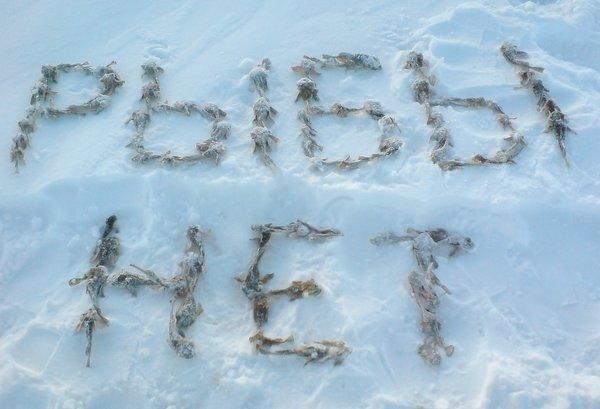 568ae7b13cd06_.thumb.JPG.abd75b0d7b7a80f