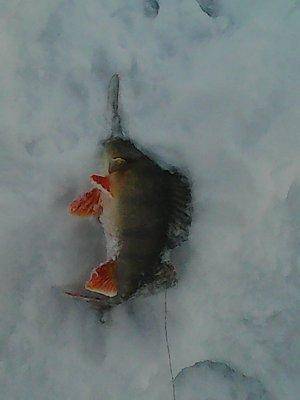 568be7ccb81ae_5016.thumb.jpg.413d73282ae