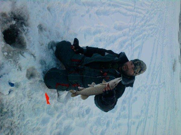 568e8cd58fa30_0986.thumb.jpg.b242bb28cba