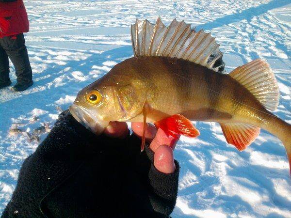 5692864b16eda_0994.thumb.jpg.c8d1ea0d144