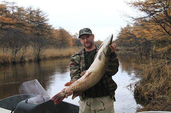 5694edaec9643_image(1).thumb.jpg.4b70087