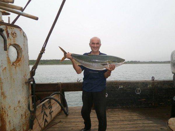 5694edaf92325_image(2).thumb.jpg.b5ffde5