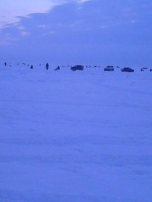 Ладога 16 января 2016 002.jpg