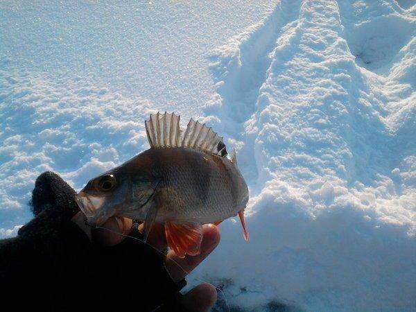 569beaeaaef67_1003.thumb.jpg.b60e95cc078