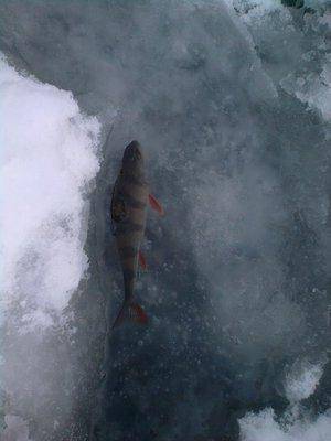 569beb2b4c75a_1011.thumb.jpg.1fcaf760b04