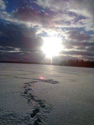 56adede1c6f50_2764.thumb.jpg.894b746f9bf