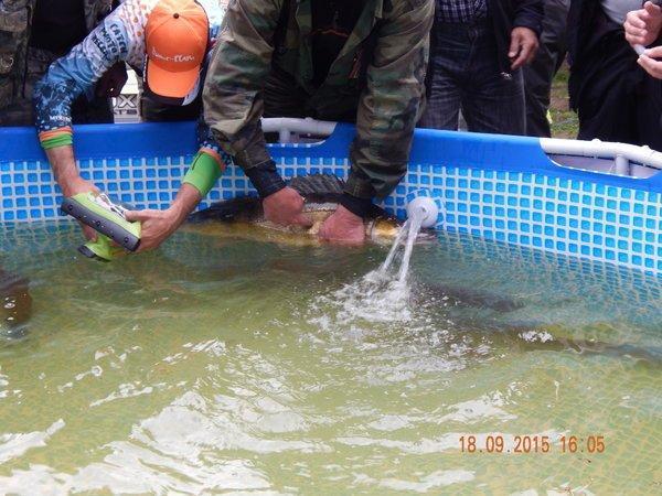 57.thumb.JPG.45793f55f2c8d5a36b3aae97047