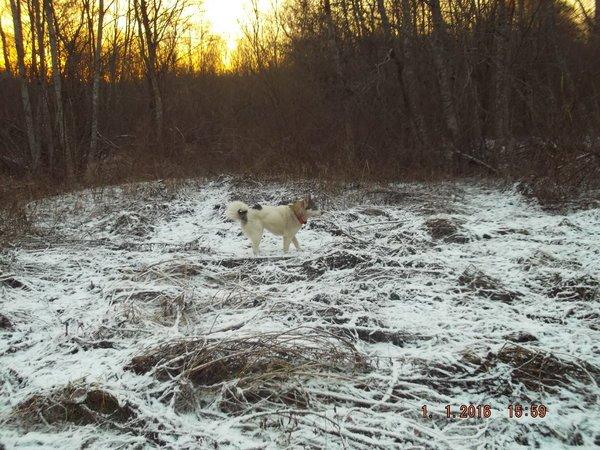 DSCF4251.thumb.JPG.865f690525c43e47ea0ed