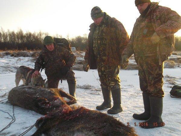 DSCF4261.thumb.JPG.f661b0ec66217f83f94c4