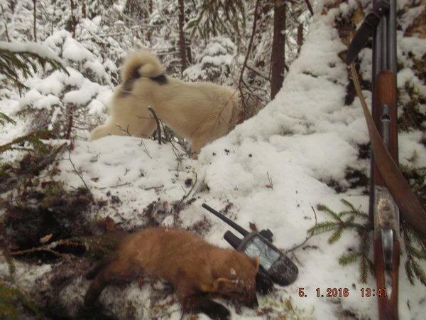 DSCF4266.thumb.JPG.26910a9525002ec3b36f7