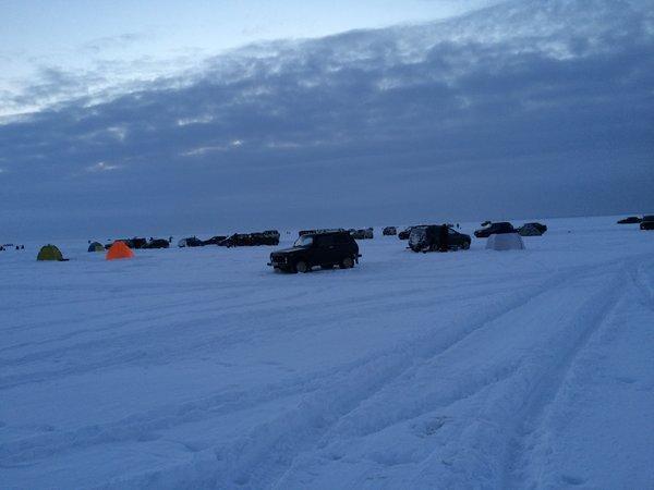 IMG_1301.thumb.JPG.c3e26a6cc3b2dbe26be95