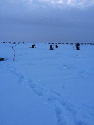 IMG_1305.thumb.JPG.390c2577026598a650722